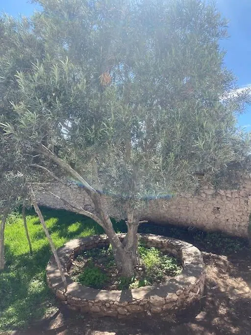 Villa Gattina Ghazoua 0*,